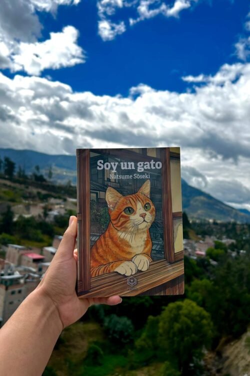 SOY UN GATO